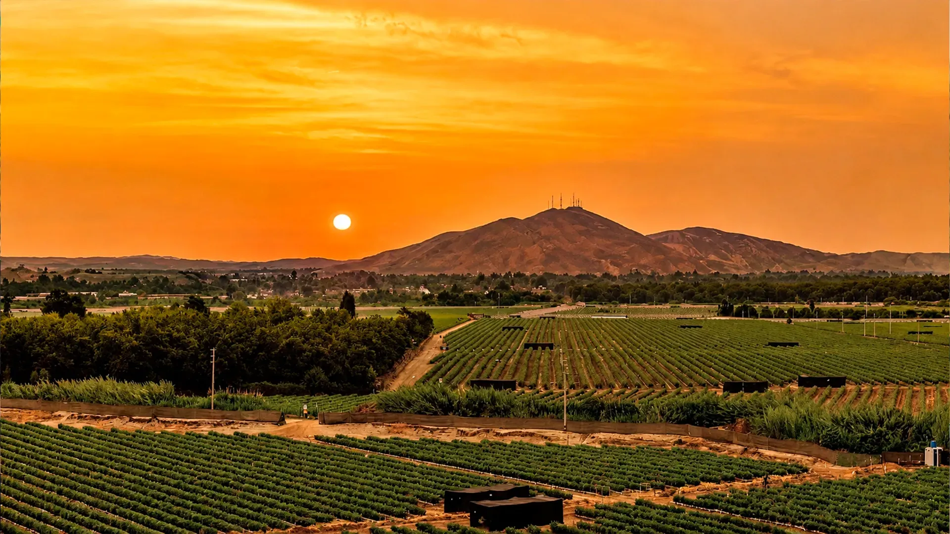 Visión Agrovalue